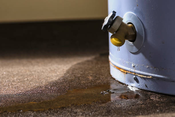 Best Flood damage cleanup  in Iona, FL