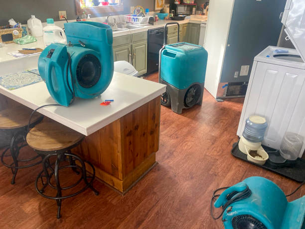 Best Water damage restoration near me  in Iona, FL
