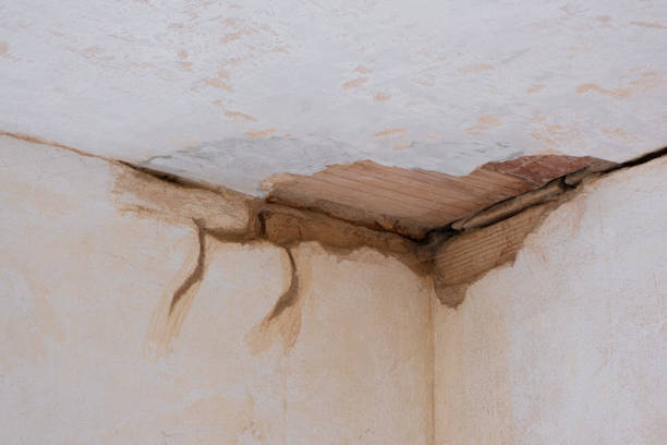 Water damage restoration mold remediation in Iona, FL