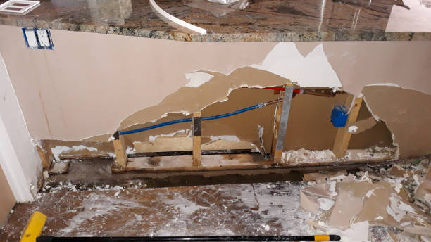 Best 24-hour water damage restoration  in Iona, FL
