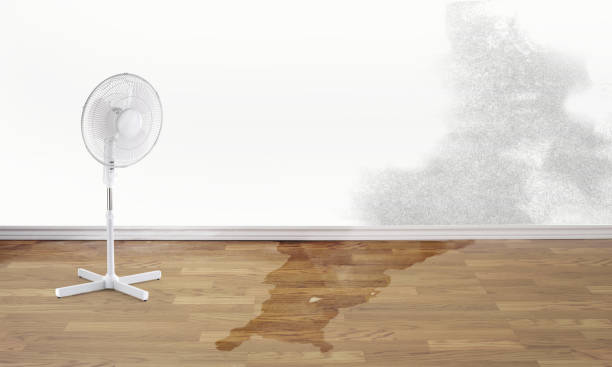 Local water damage restoration in Iona, FL
