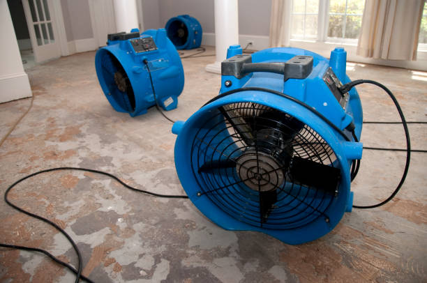 Best Commercial water damage restoration  in Iona, FL