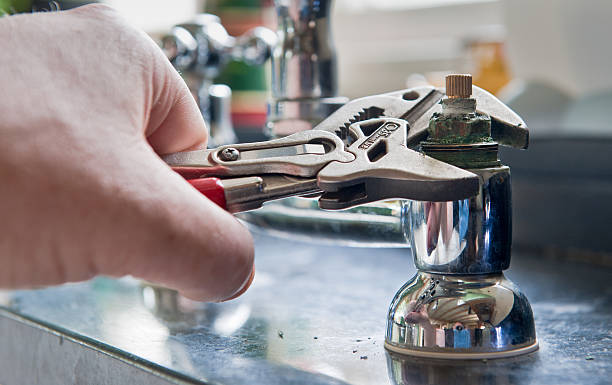 Best Flood restoration services  in Iona, FL