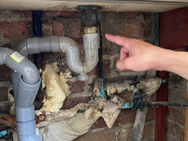 Best Mold removal after water damage  in Iona, FL